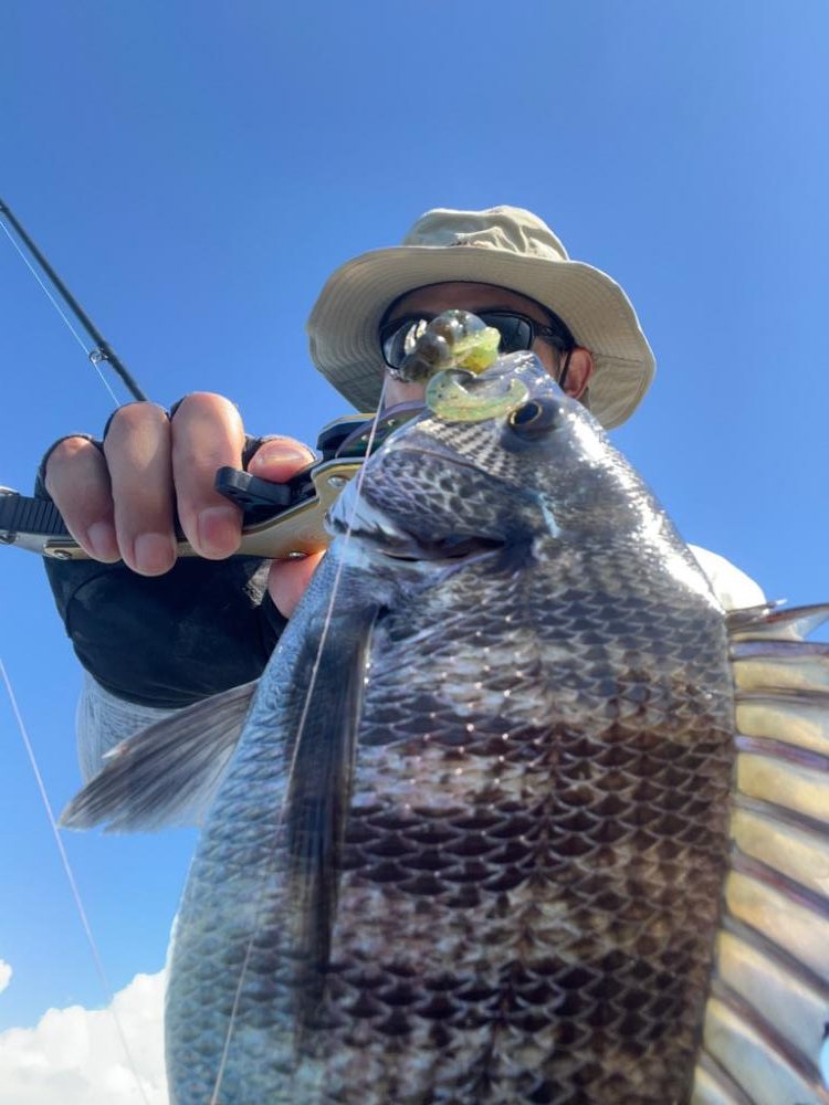 ボートチニング調査