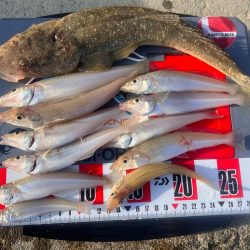 炎天下のサーフ責め！