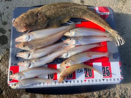 炎天下のサーフ責め！