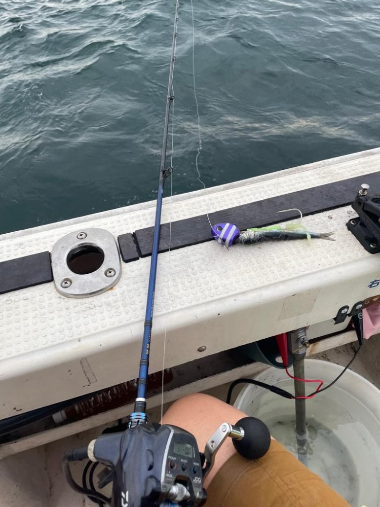 台風前のタチウオテンヤ