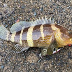 台風が来る前に