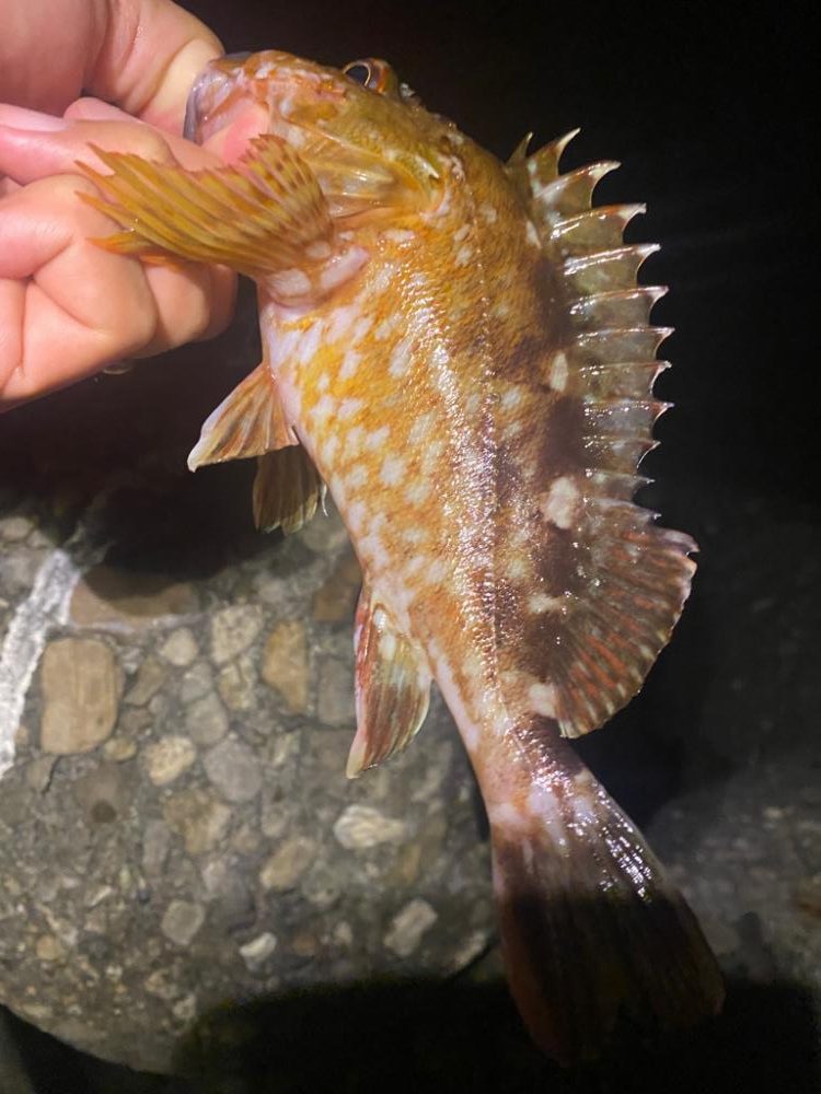 つ抜け目指して