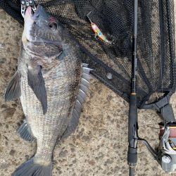 トップチニング