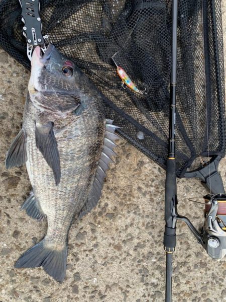 トップチニング