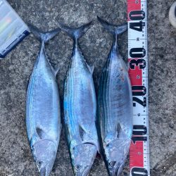 台風前の高活性