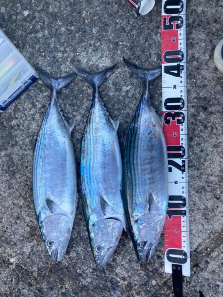 台風前の高活性