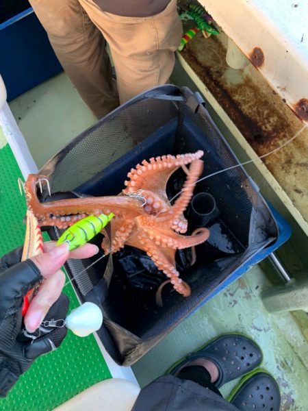 おニューのロッド担いでタコ釣り