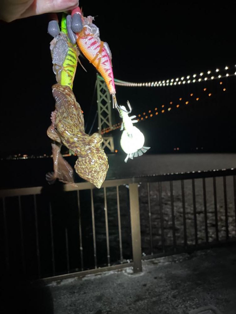 風が強かったです