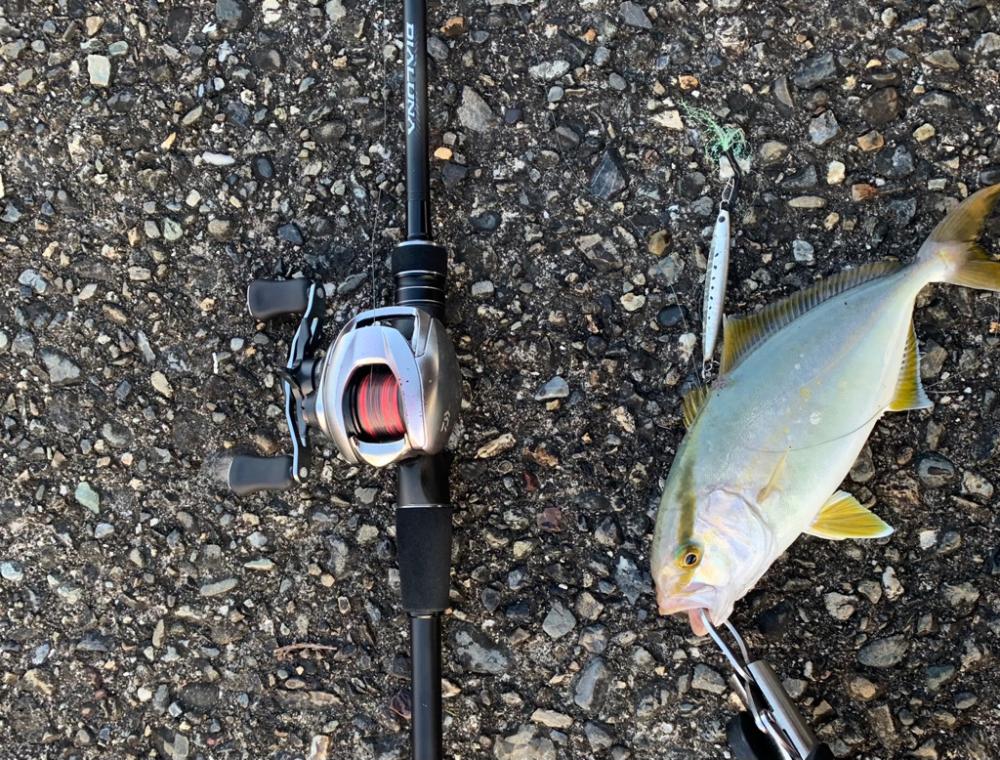 青物求めて南伊勢ッ