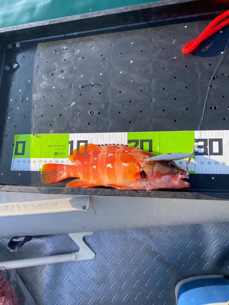 マイボート釣行