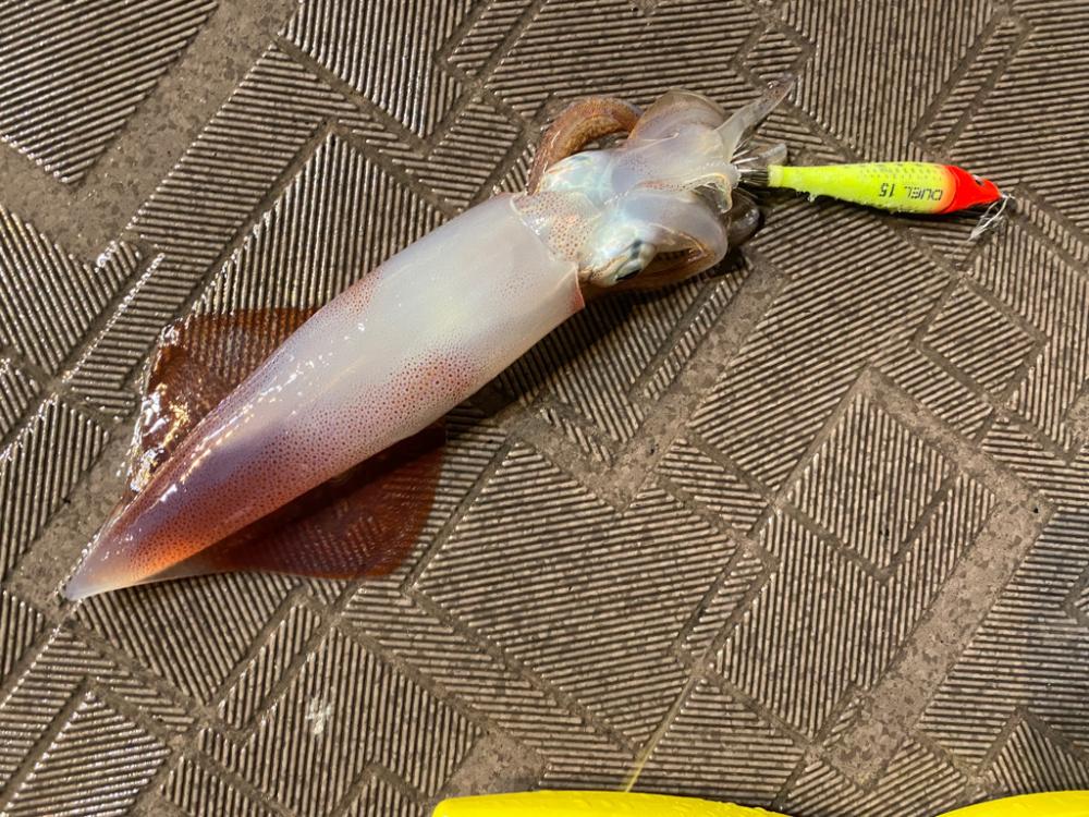 台風の影響下でイカメタル