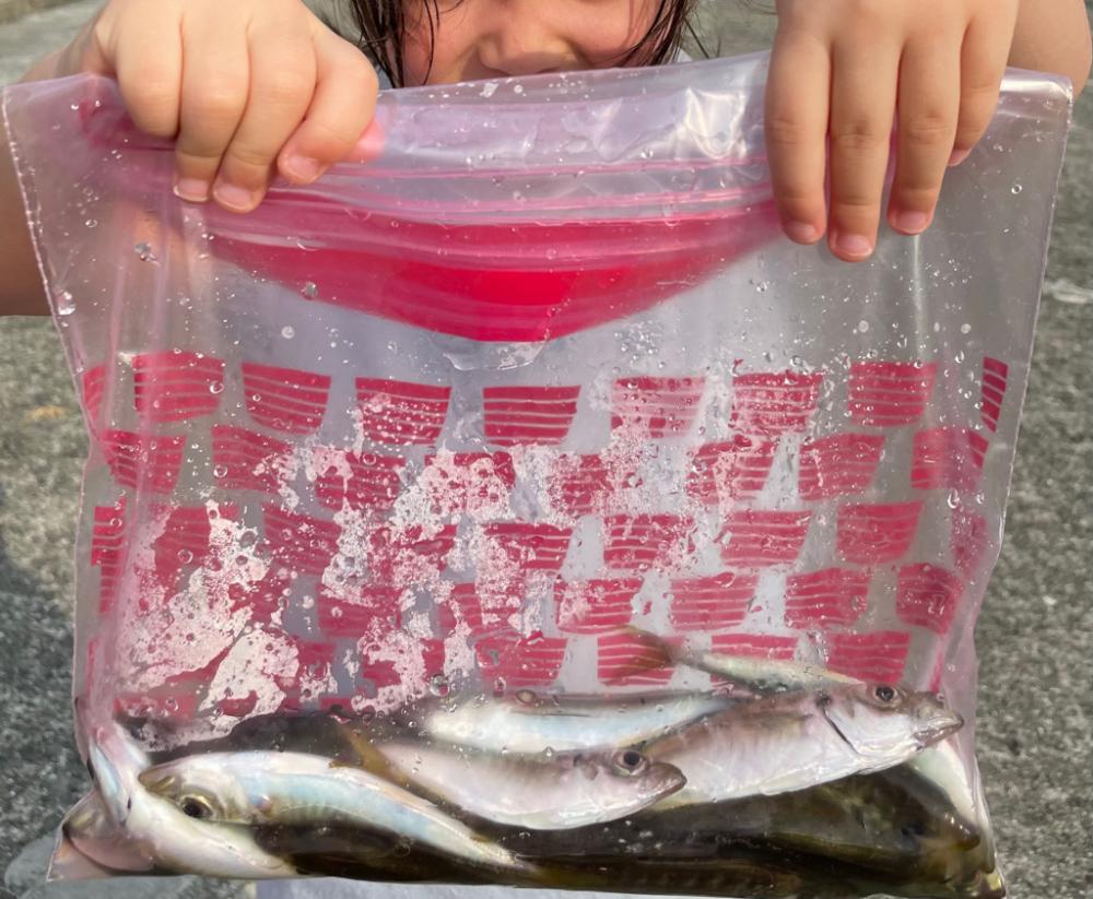 ファミリーフィッシング