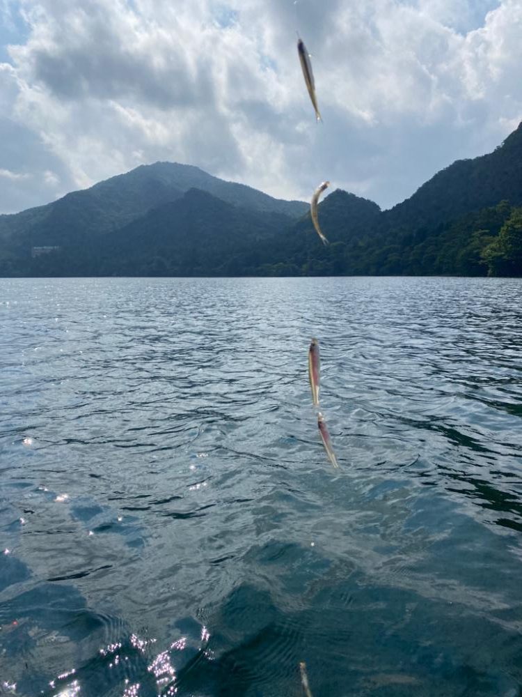 ワカサギ試し釣り