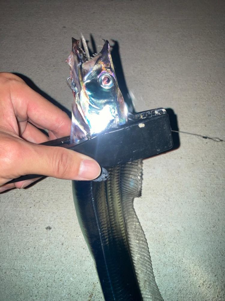 2023ライトゲーム第30戦