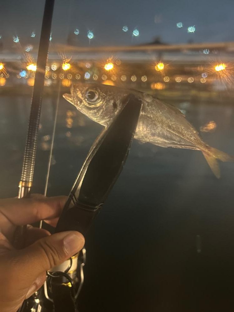 ライトゲーム!!