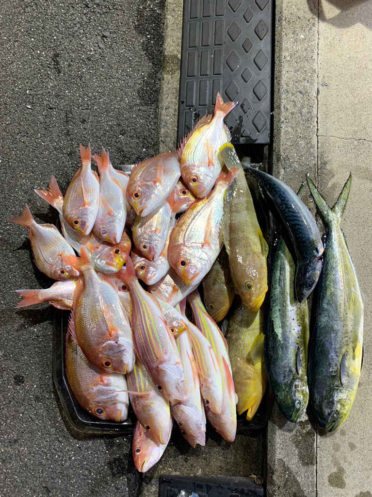 酷暑のボート釣行