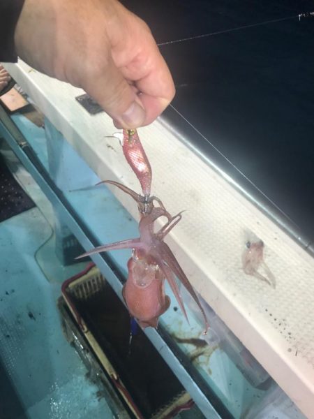 小浜　海生丸のイカメタル深夜便