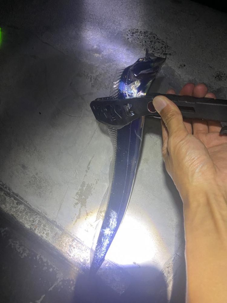 到着後パタパタっと釣れましたが…