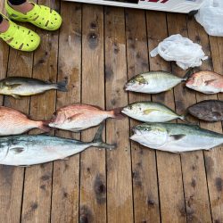 辨屋 なんちゃって釣りんピック