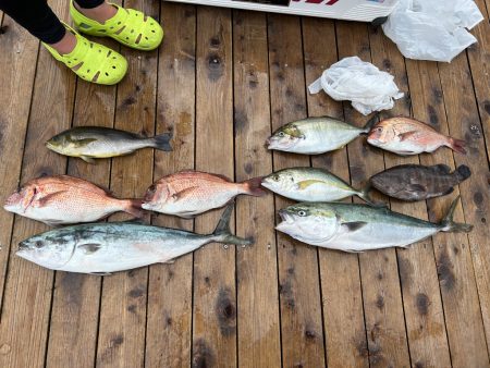 辨屋 なんちゃって釣りんピック