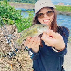 小バスに癒された