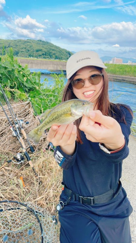 小バスに癒された