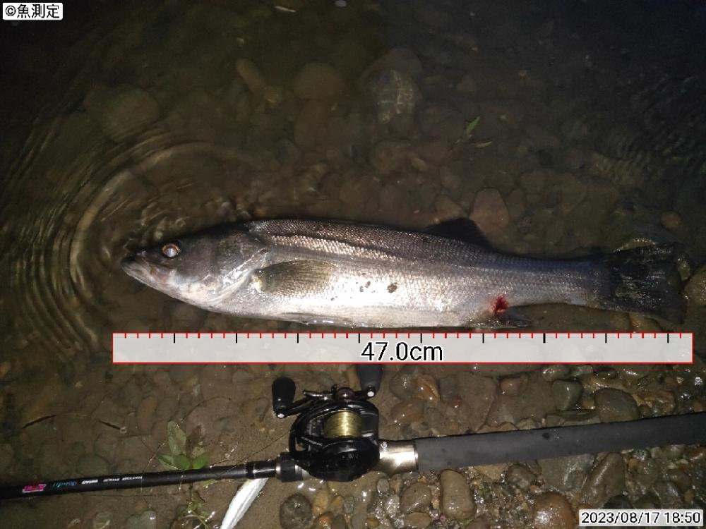 とにかく釣れたが怒られた