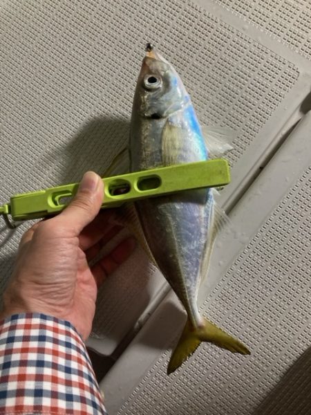 ボートアジング