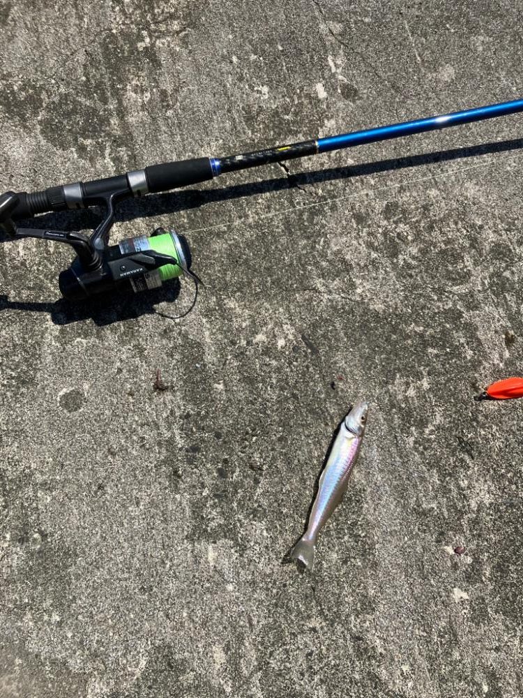 ちょい投げでキス釣り