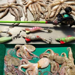 伊勢湾沖タコ釣り！
