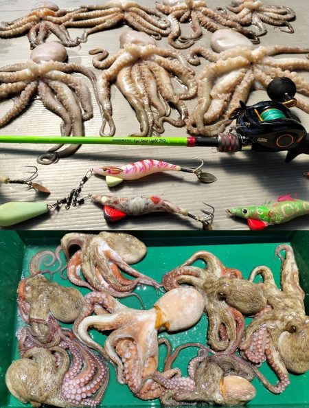 伊勢湾沖タコ釣り！