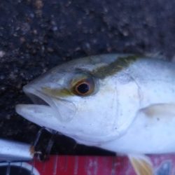 小雨凪潮の曇り空