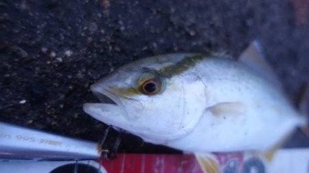 小雨凪潮の曇り空