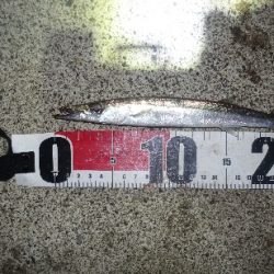 秋を感じる波のうねり