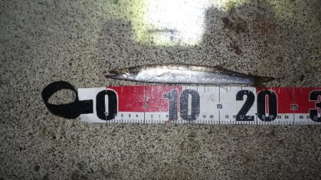 秋を感じる波のうねり