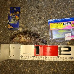 やっとガシラマンション見つけました!!