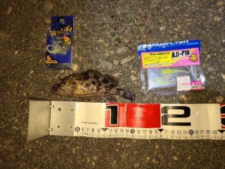 やっとガシラマンション見つけました!!