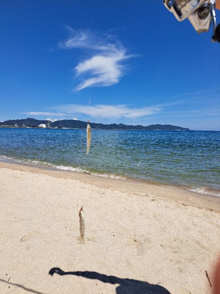 家族でチョイ投げ