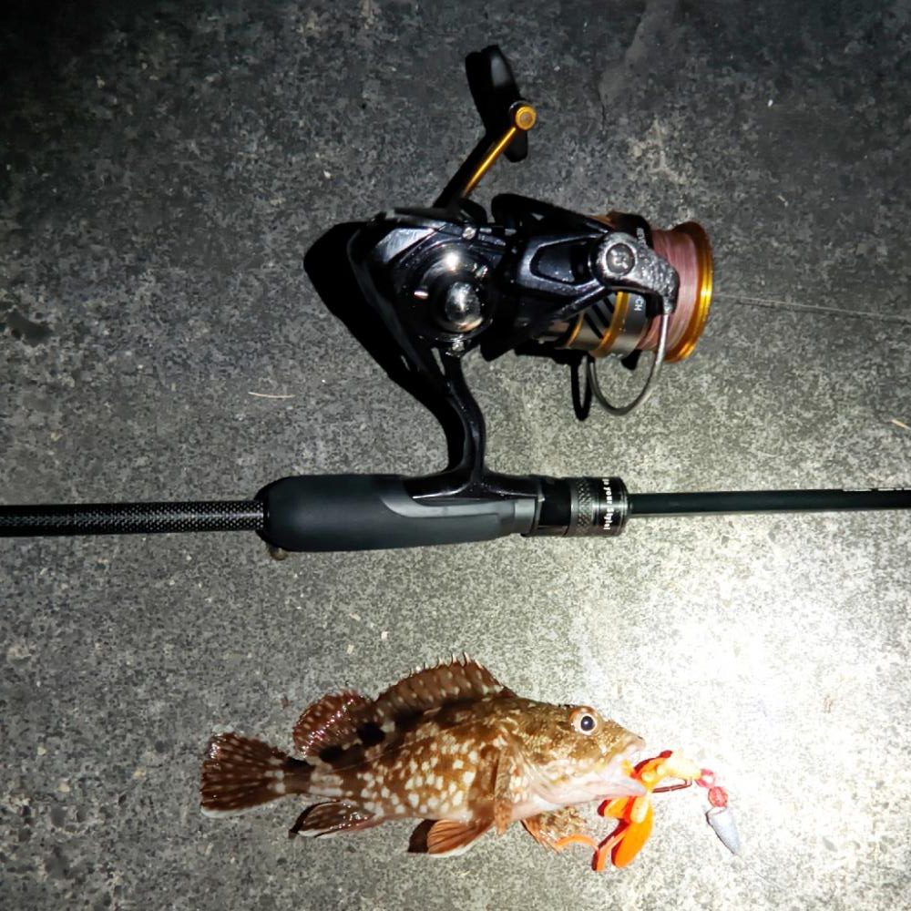 エサ釣りだめじゃん