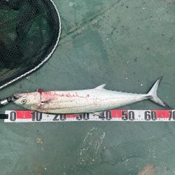 牛深　マイクロベイトボイル攻略