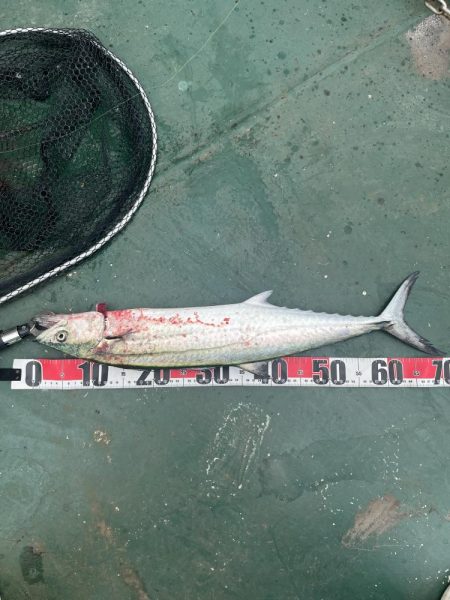 牛深　マイクロベイトボイル攻略