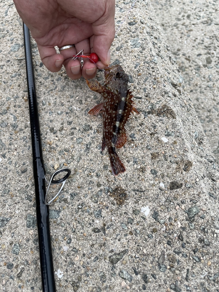 台風の影響はあまりなく