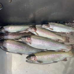 釣食浪漫 ～雨乞い？！～