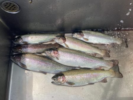 釣食浪漫 ～雨乞い？！～