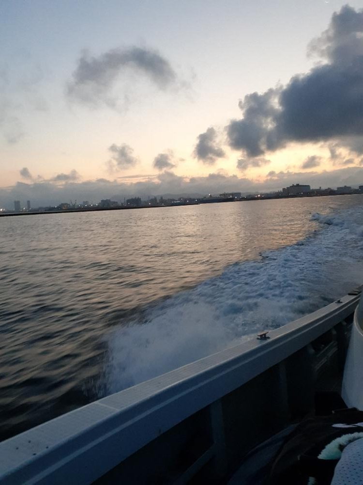 入れ食いなんですがっ😖