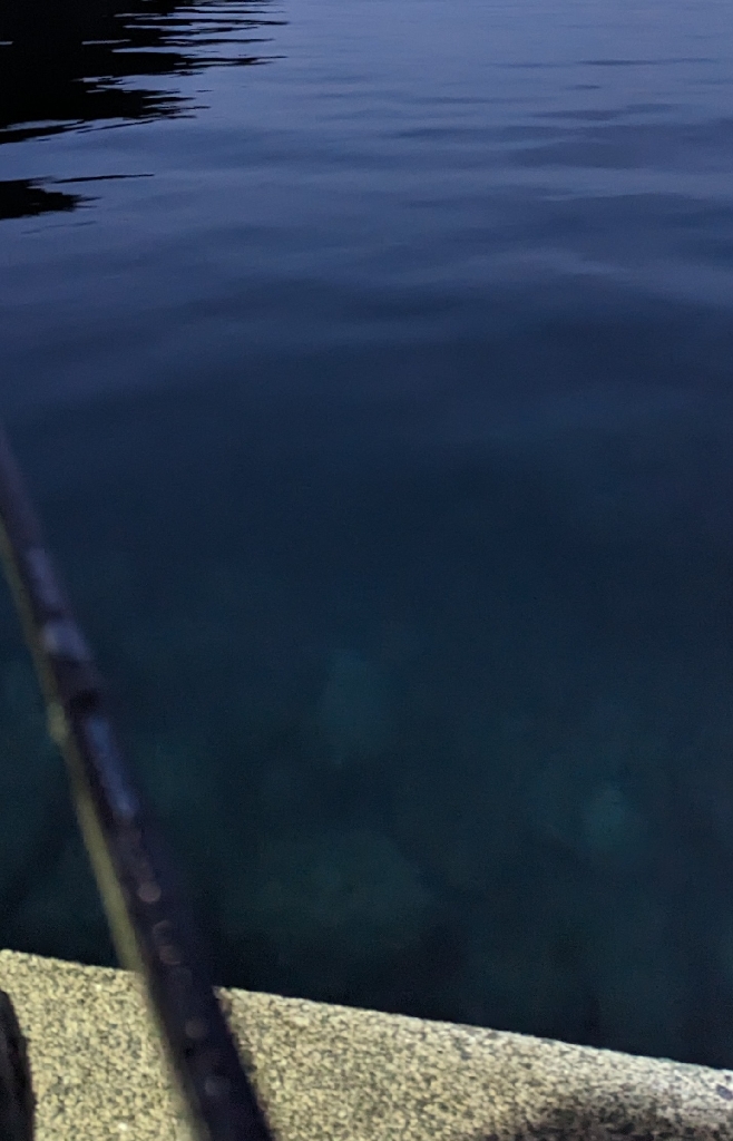 夜でも熱中症に注意