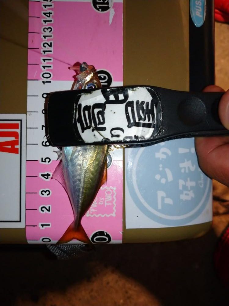 今夜も豆アジ修行