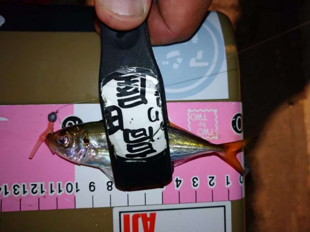 今夜もとにかく修行