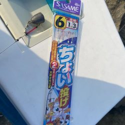 台風一過の激暑シロギス釣行