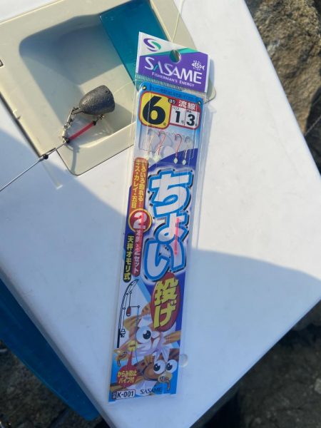 台風一過の激暑シロギス釣行